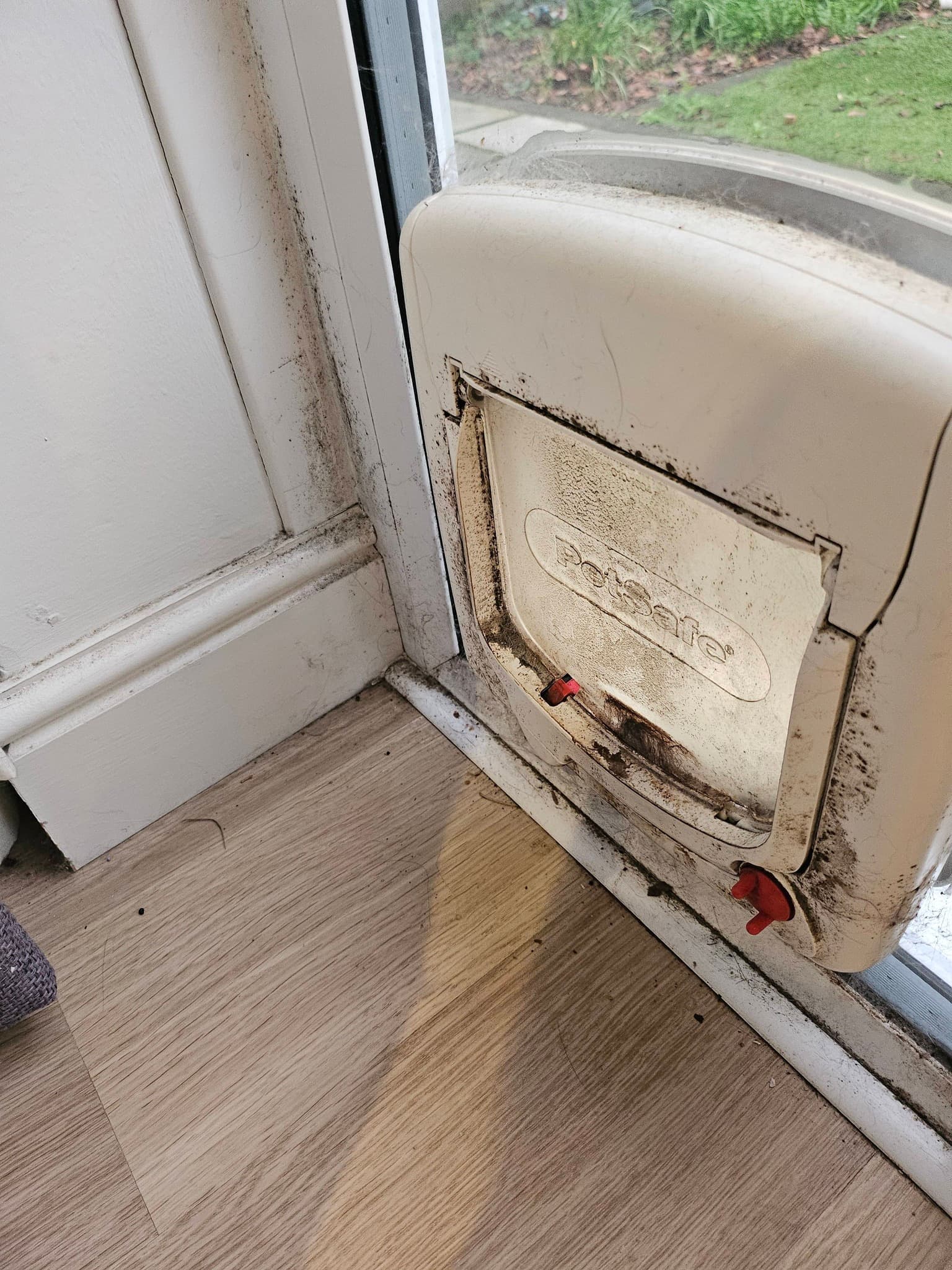 Grimy white cat flap and door frame caked with dirt before cleaning